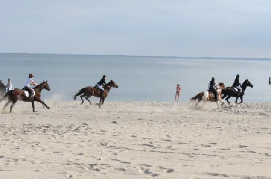 U1, vacation apartment for up to 6 people