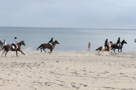 U1, vacation apartment for up to 6 people