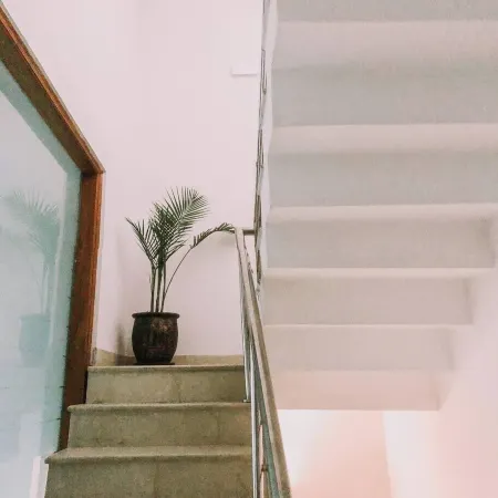 The Mahal Luxurious Homestay Отели в г. Панчкула