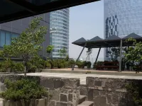 Capri Reforma 410