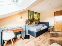Landhotel Alte Aue Hotels in Upper Harz