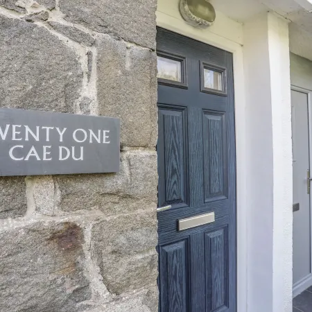 21 Cae Du