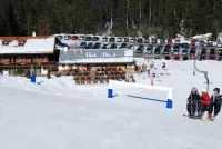 Alpengasthof Götschenalm - Wifi