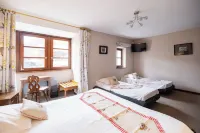 Hôtel Berceau du Vigneron Hotels in Ingersheim