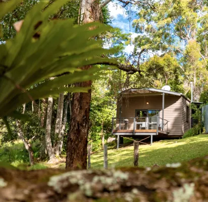 Whispering Valley Cottage Retreat Hotels in Maleny