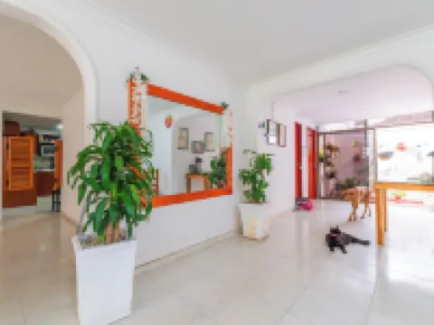 Oresca Hostel Hotels in Cartagena