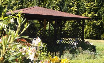 Apartment in Pirna Near Saxon Switzerland