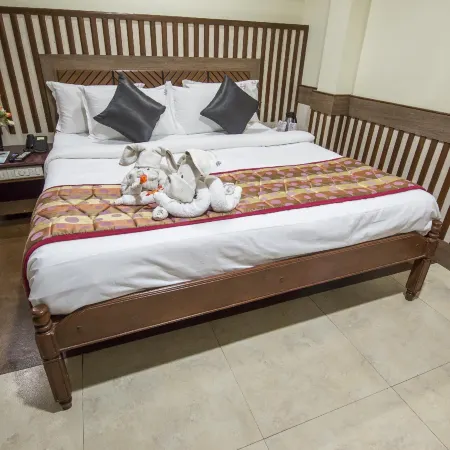 Hotel Aryaas Отели в г. Тирунелвели