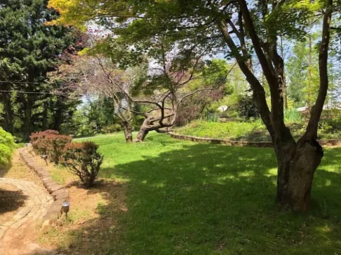 Private, Sanitized Loft, with Discounts Sleeps 2