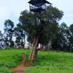 Green Mount Residency Hotels in Kanthalloor