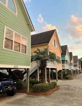 The Tipsy Turtle SSB