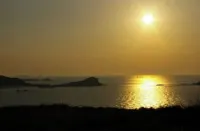 Ajonc, Bord DE MER ET Cote Sauvage