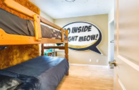 The OMG House that will BLOW YOUR MIND with Unbelievable Cats n Mirrors
