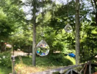 Ever Green Hotel di Fujimi