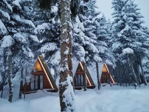 Cabin in the forest, near to ski lift, provide breakfast and dinner