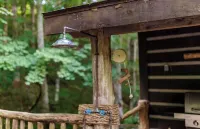 Roan Mountain Charming Cabin Hot Tub Close to Hiking Dogs Welcome