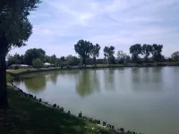 Short periods Reggio Emilia center