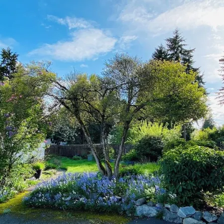 Peaceful Home-Centrally Located West Hill, Kent