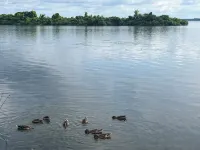 Lakefront Living Downtown Orillia.