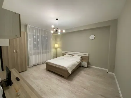 Conffortable studio cozy type Отели в г. Chiajna