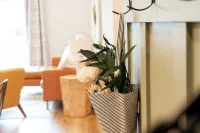 NEW Springmill Escape in Westfield - 2 king beds, office, fenced yard and more