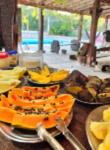 Aly da Costa工作室客棧 伊瓜佩住宿飯店