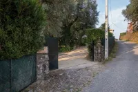 Casa do Olival | Ponte de Lima