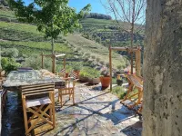 QUINTA DAS FONTAINHAS DOURO VALLEY Your paradise in the Douro. Hotels in Tabuaco