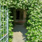 La Casa di Fiorella È Un'accogliente Bilocale di 60 mq Nella Campagna Toscana Hotels in Cerreto Guidi