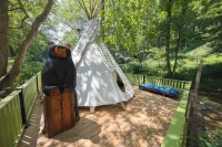 Tiny House w/Creek and Eagles