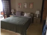 single level PENTHOUSE  has more than 550 m2 occupying the entire floor