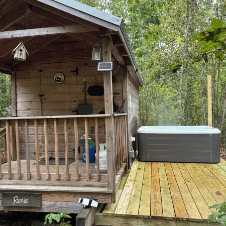 Tiny Cabin on 100 Acres Kayaks/Canoes/Paddleboards
