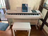 Rental Villa Grand Ping Himeshara Hotels in Kirishima