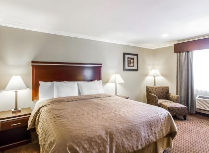 Super 8 by Wyndham Mesa Downtown Near Convention Center