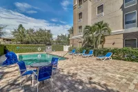 Holiday Inn Express & Suites CLEARWATER/US 19 N by IHG - Pools