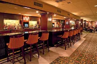 Holiday Inn JOHNSTOWN-DOWNTOWN by IHG - bar