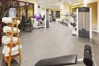 Holiday Inn MANAGUA - CONVENTION CENTER by IHG - Gym