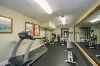 Holiday Inn Express & Suites MERRIMACK by IHG - Gym