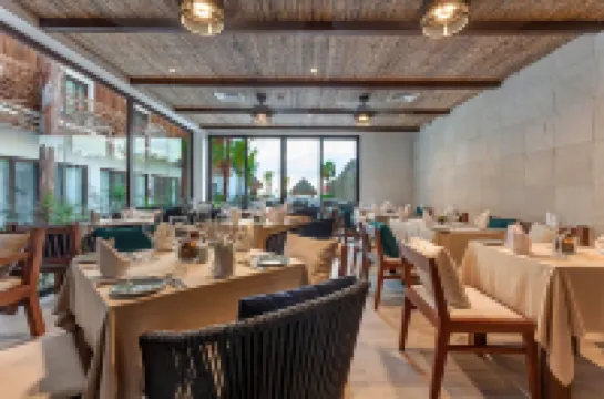 Mystique Holbox by Royalton, A Tribute Portfolio Resort