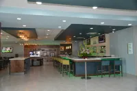 Holiday Inn BEAUMONT EAST-MEDICAL CTR AREA by IHG - bar