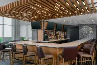 Hilton Garden Inn Buffalo Airport - bar