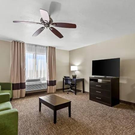 Comfort Inn & Suites Surprise Near Sun City West