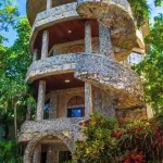 Coconut Tree West Bay