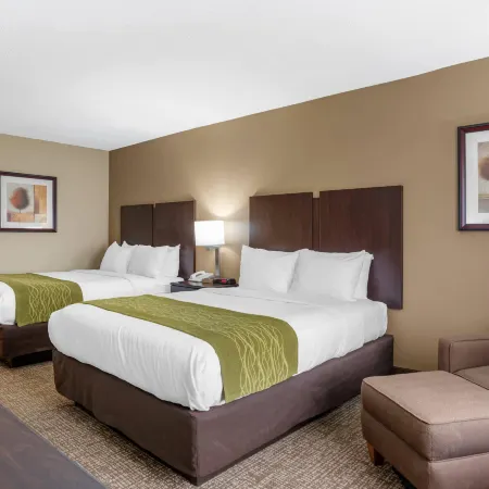 Comfort Inn Pearl-Jackson