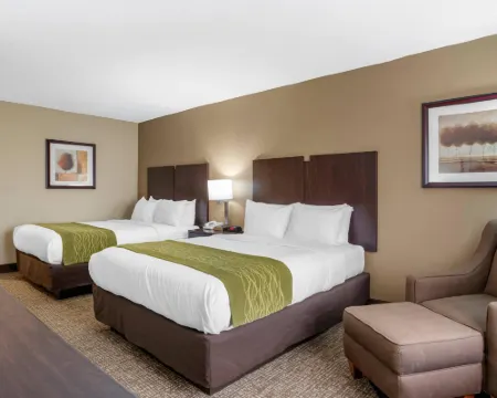 Comfort Inn Pearl-Jackson Hotels in Pearl