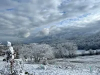 B&B Casa dei Cuori - Natura, Silenzio, Relax a 550 m di Quota - Homestays