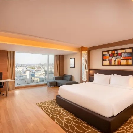 Radisson Udaipur