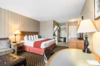 Quality Hotel