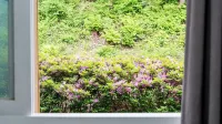 Paju Sugavill Agyeon Dongban Pension - Bergblick