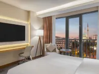 Mercure Ankara Kizilay - Pet-friendly
